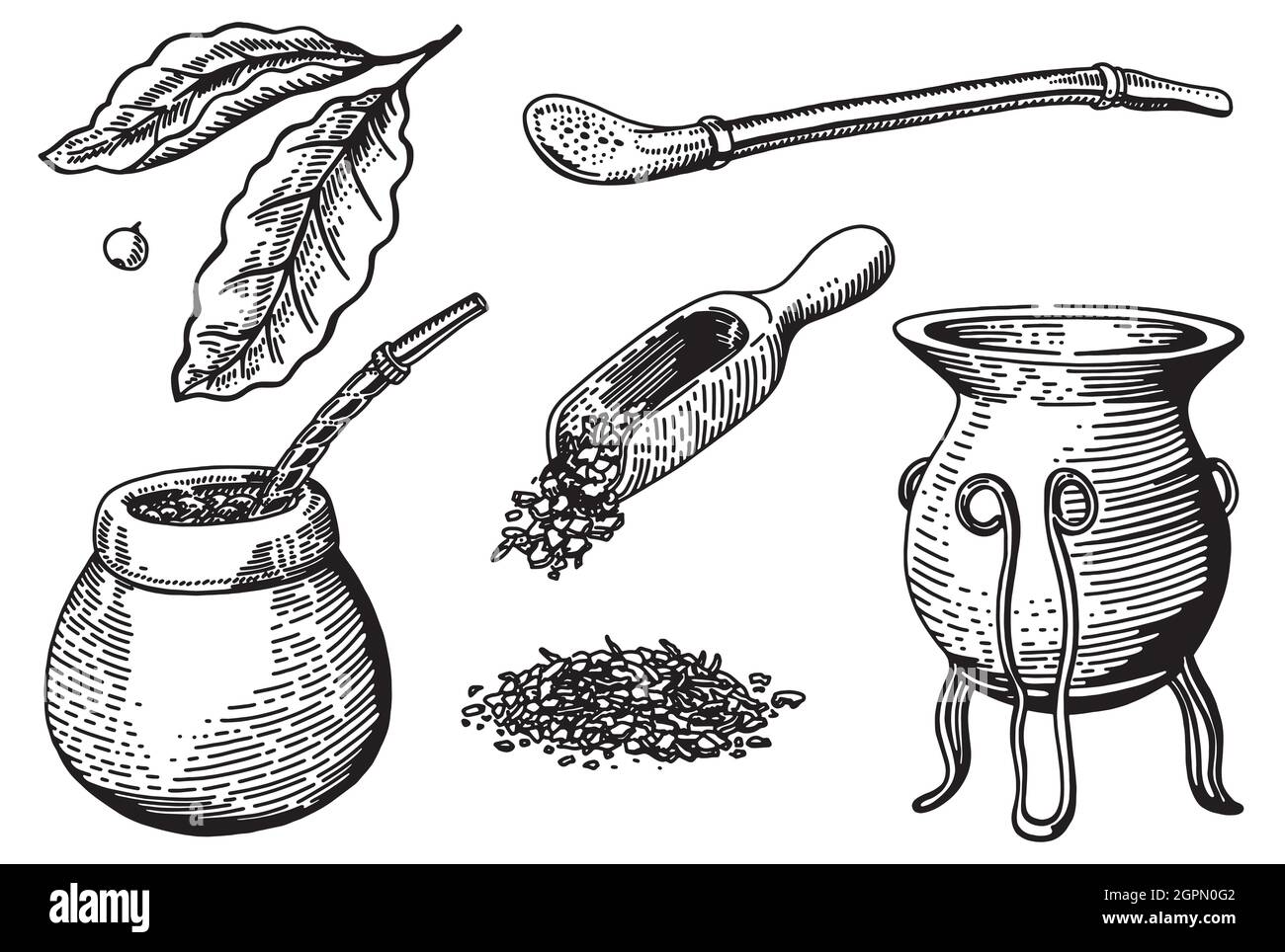 Set da tè tradizionale. Grafica disegnata a mano con inchiostro vettoriale per il menu del bar o del ristorante, stampa. Cerimonia di Yerba mate con gourd e bombi Illustrazione Vettoriale