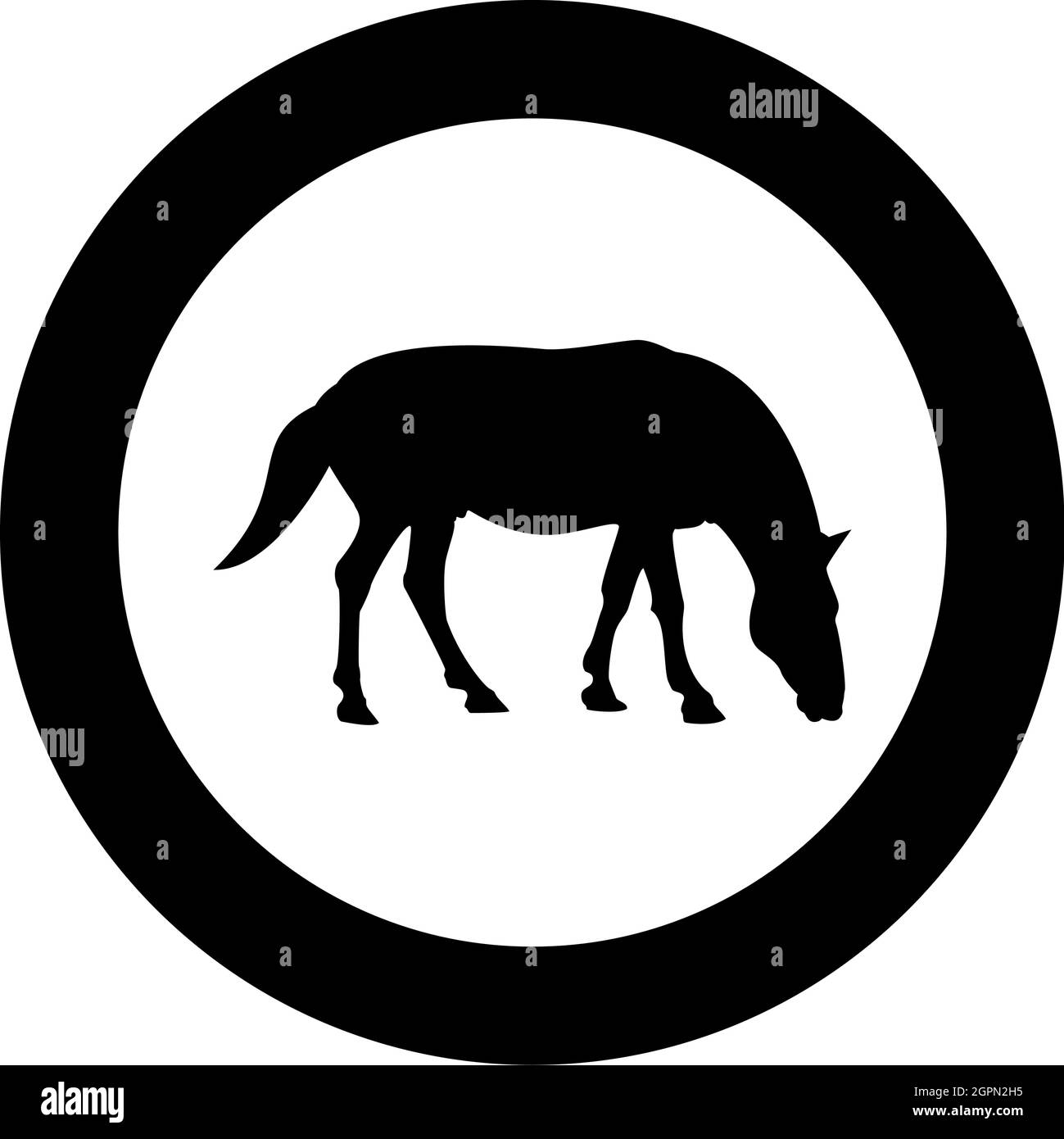 Cavallo Steed Equestre Equestre Stallion purosangue Mustang silhouette in cerchio rotondo colore nero vettore illustrazione solido contorno stile immagine Illustrazione Vettoriale