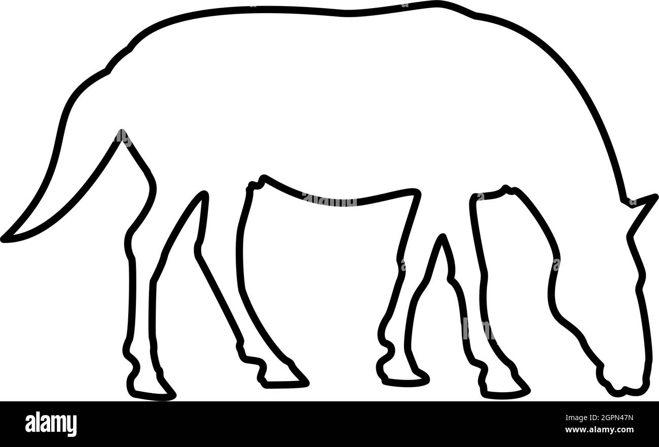 Cavallo Steed Equestre Equestre Stallion purosangue Mustang contorno contorno nero colore vettore illustrazione piatta immagine stile Illustrazione Vettoriale