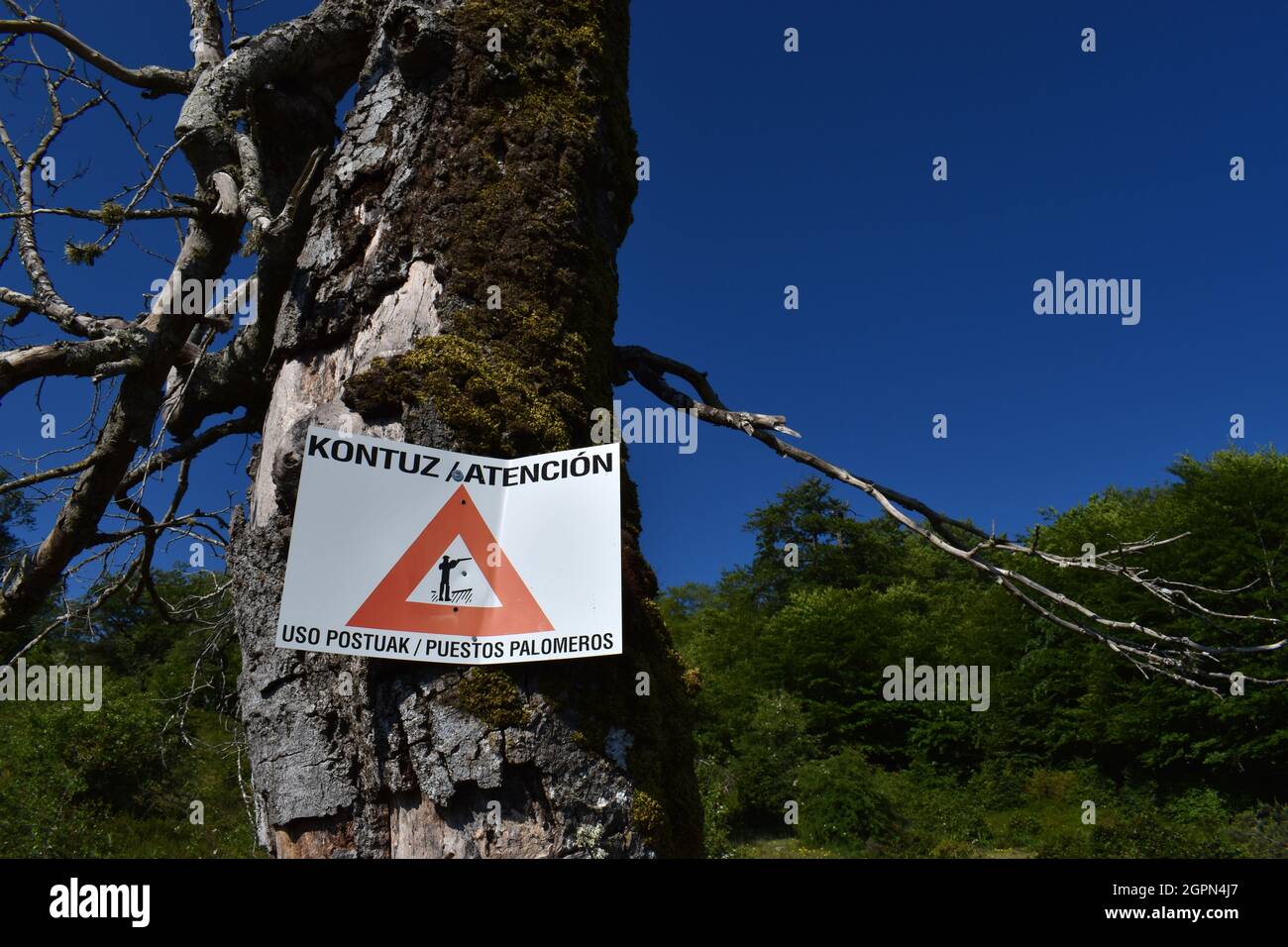 Poster che avverte del pericolo come è una zona di caccia al piccione, scritto in spagnolo e basco. Foto Stock