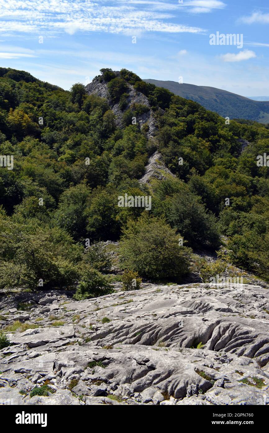 Lapiaz nel massiccio carsico di Itxina. Parco Naturale di Gorbea. Paesi Baschi. Spagna Foto Stock