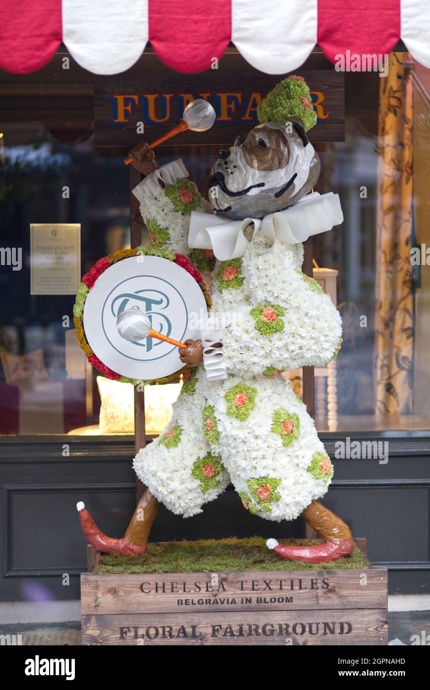 Cane che gioca un tamburo, Belgravia in fiore display floreale Foto Stock