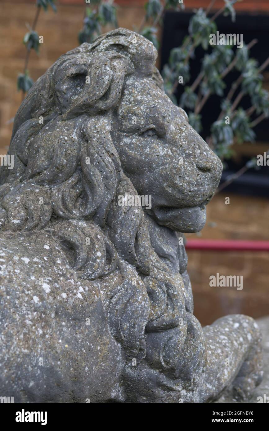 Maestoso leone di pietra Foto Stock