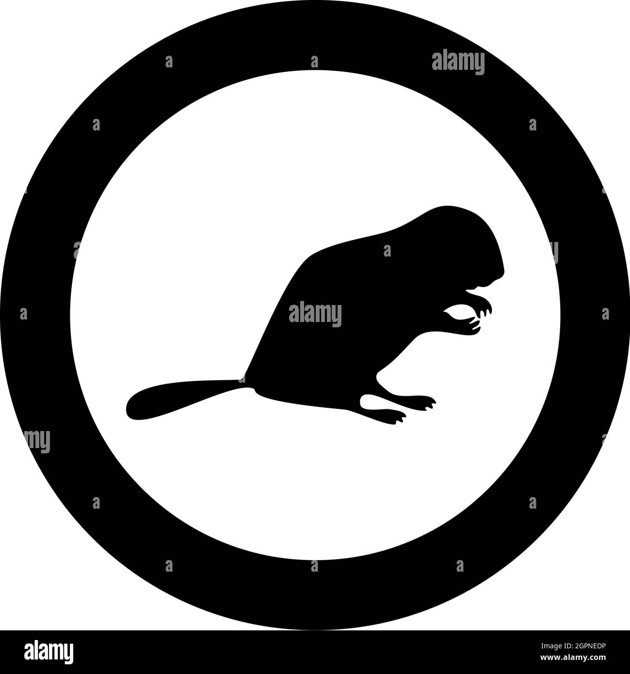 Beaver Animal Rodent Stand silhouette in cerchio rotondo nero colore vettoriale illustrazione contorno pieno stile immagine Illustrazione Vettoriale