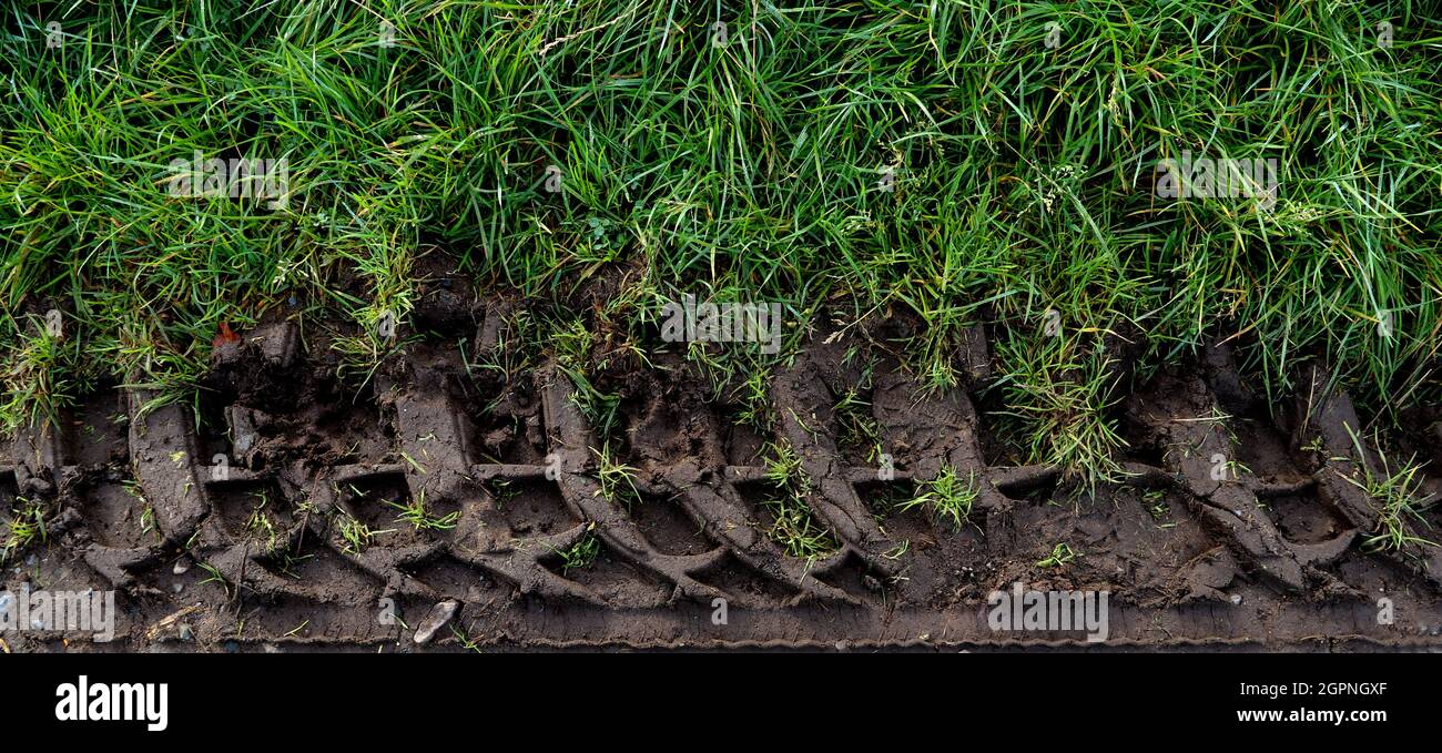 Carreggiata stradale con cingoli per pneumatici fangosi del trattore Foto Stock