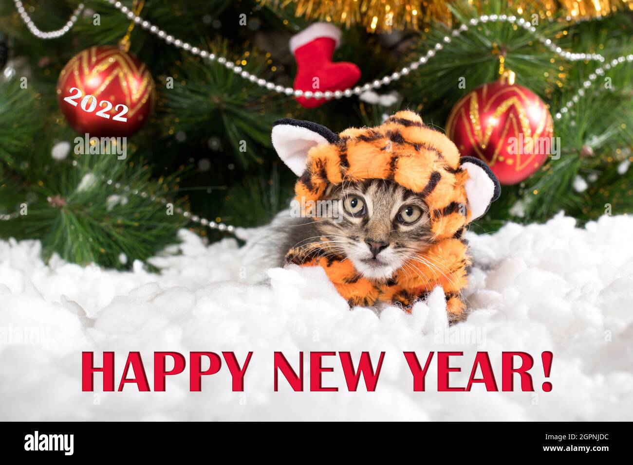 Un gatto in costume di tigre si siede nella neve vicino ad un albero di Natale con l'iscrizione di un Felice Anno Nuovo. Foto Stock