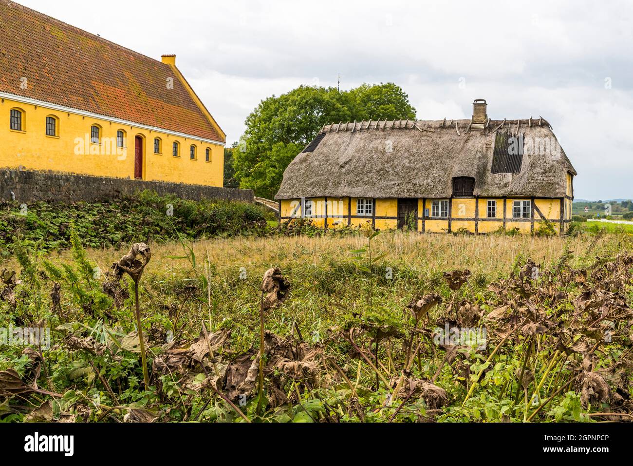 Festival in tende glamping a Brahetrolleborg Castello Skov e Landbrug vicino Faaborg-Midtfyn, Danimarca. Il pubblico è stato invitato da tre grandi aziende danesi. Il pubblico non ha avuto accesso ai tre eventi chiusi nel settembre 2021. Foto Stock