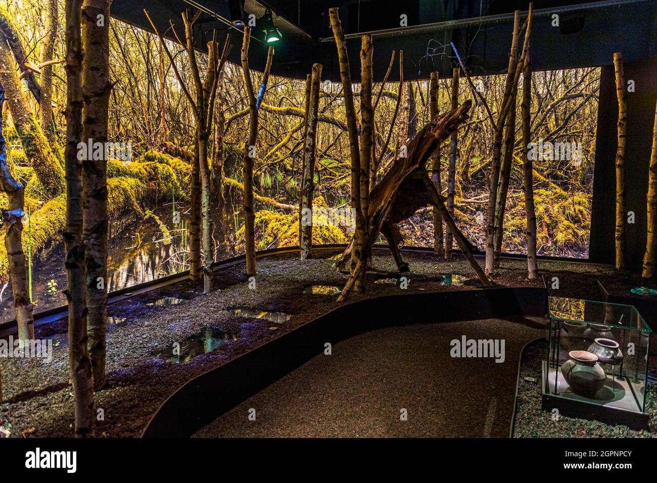 Al Museo Archipellago di Faaborg. Una visita e' altamente raccomandata come preludio ad un'escursione dei mari dell'isola. Si tratta tematicamente della formazione di questo paesaggio di età del ghiaccio unico a livello mondiale e include l'effetto della natura sugli esseri umani. Faaborg-Midtfyn, Danimarca Foto Stock