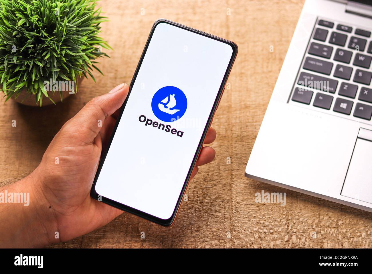 West Bangal, India - 28 settembre 2021 : immagine stock del logo OpenSea sullo schermo del telefono. Foto Stock