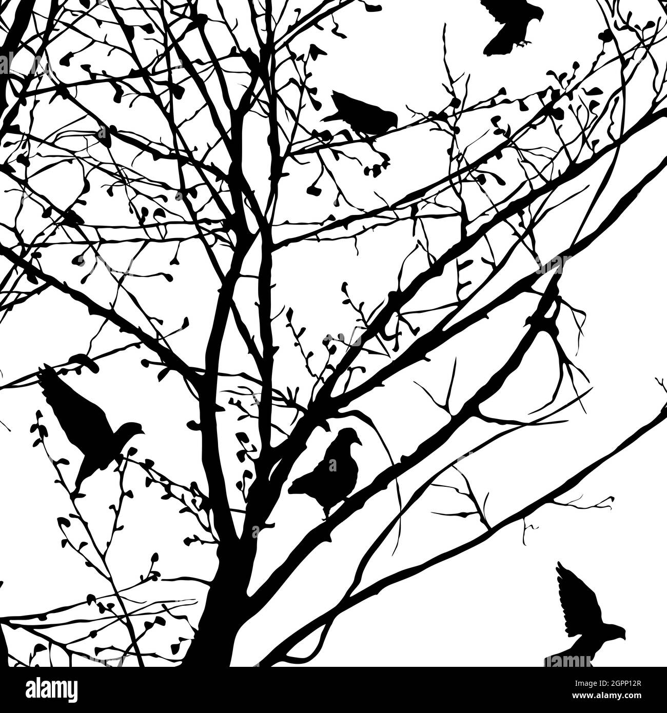 Silhouette di piccione negli alberi Illustrazione Vettoriale