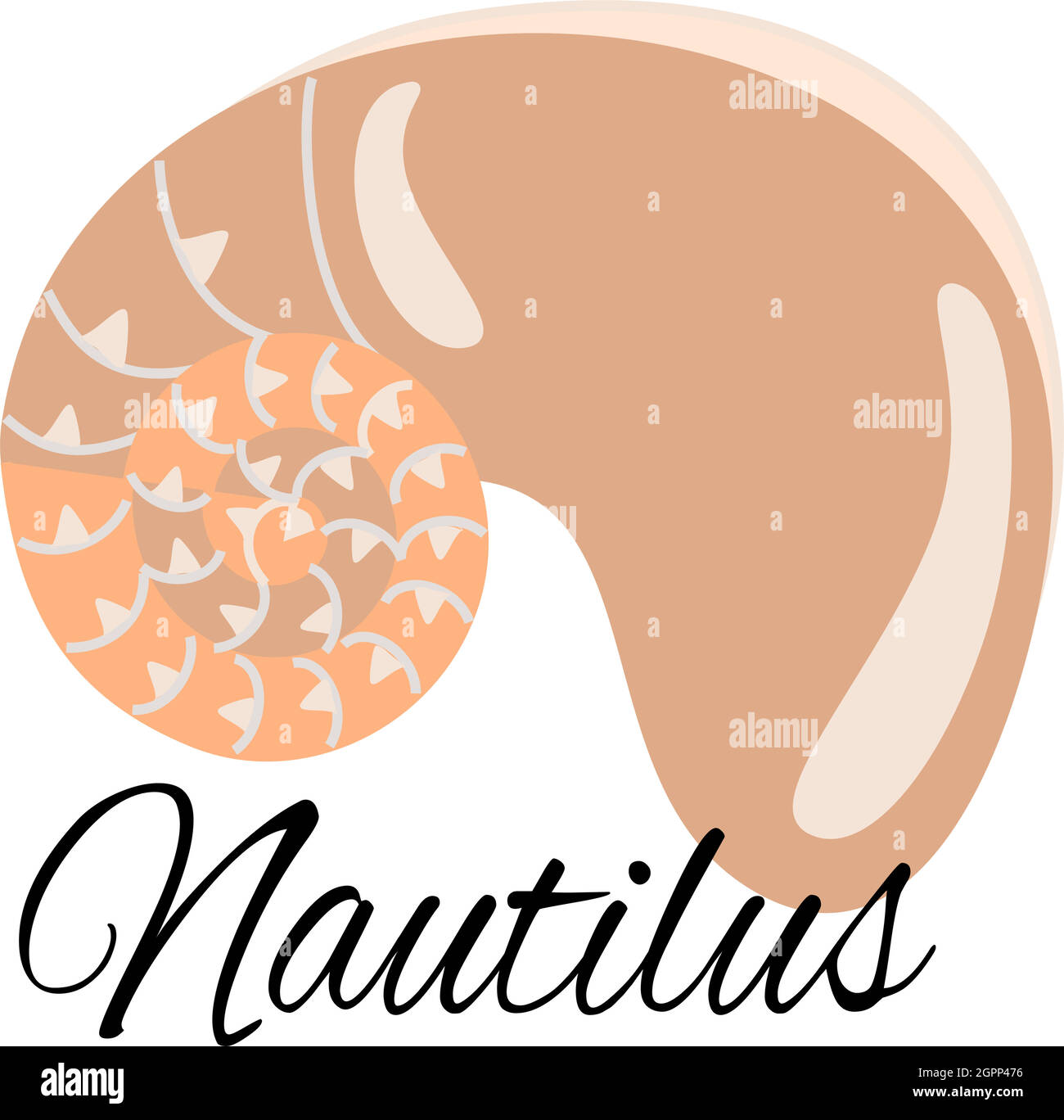 Nautilus Illustrazione Vettoriale