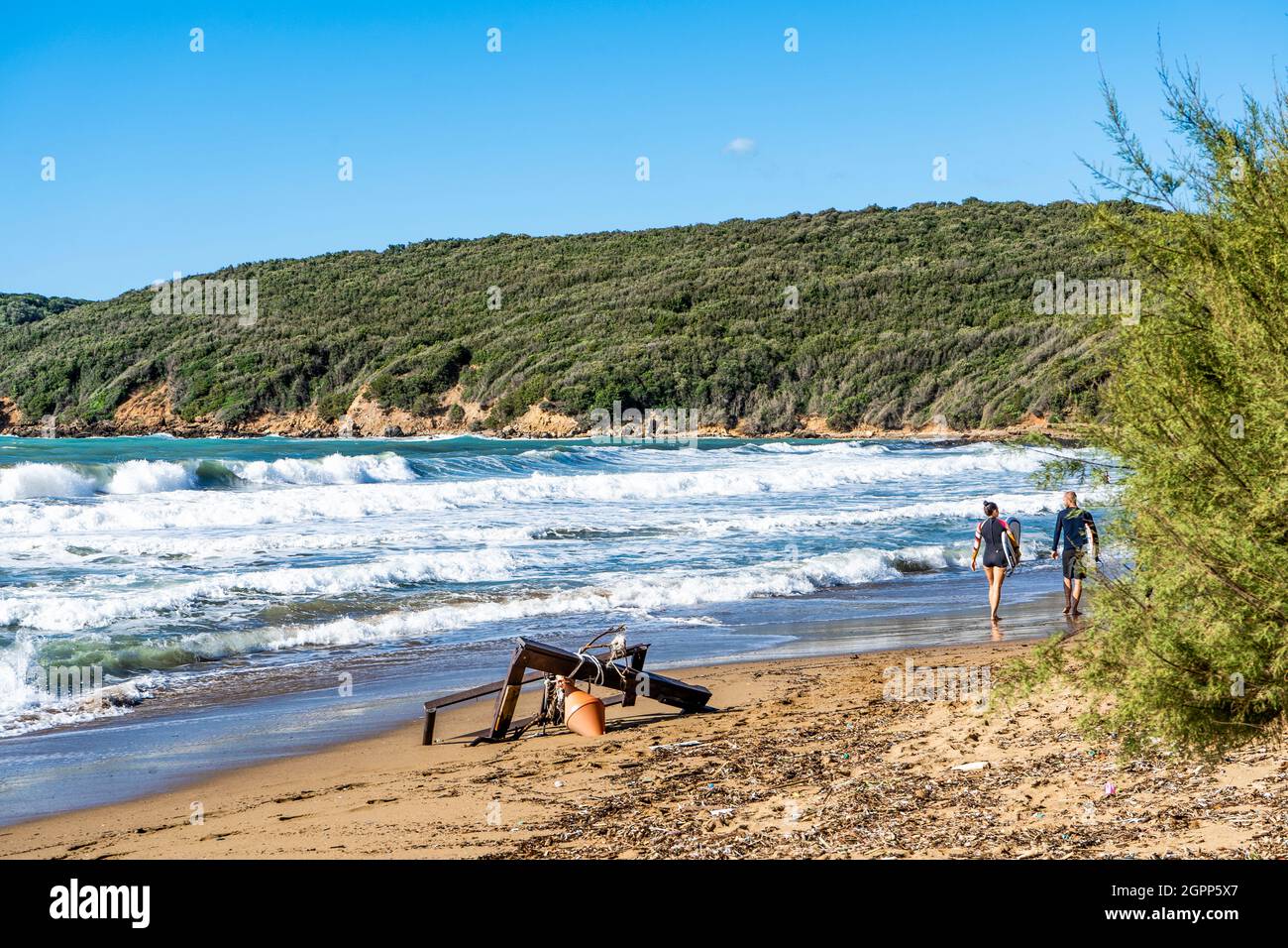 I surfisti che portano le loro tavole da surf su una spiaggia sabbiosa, nel golfo di Baratti, Piombino, provincia di Livorno, Italia. Foto Stock