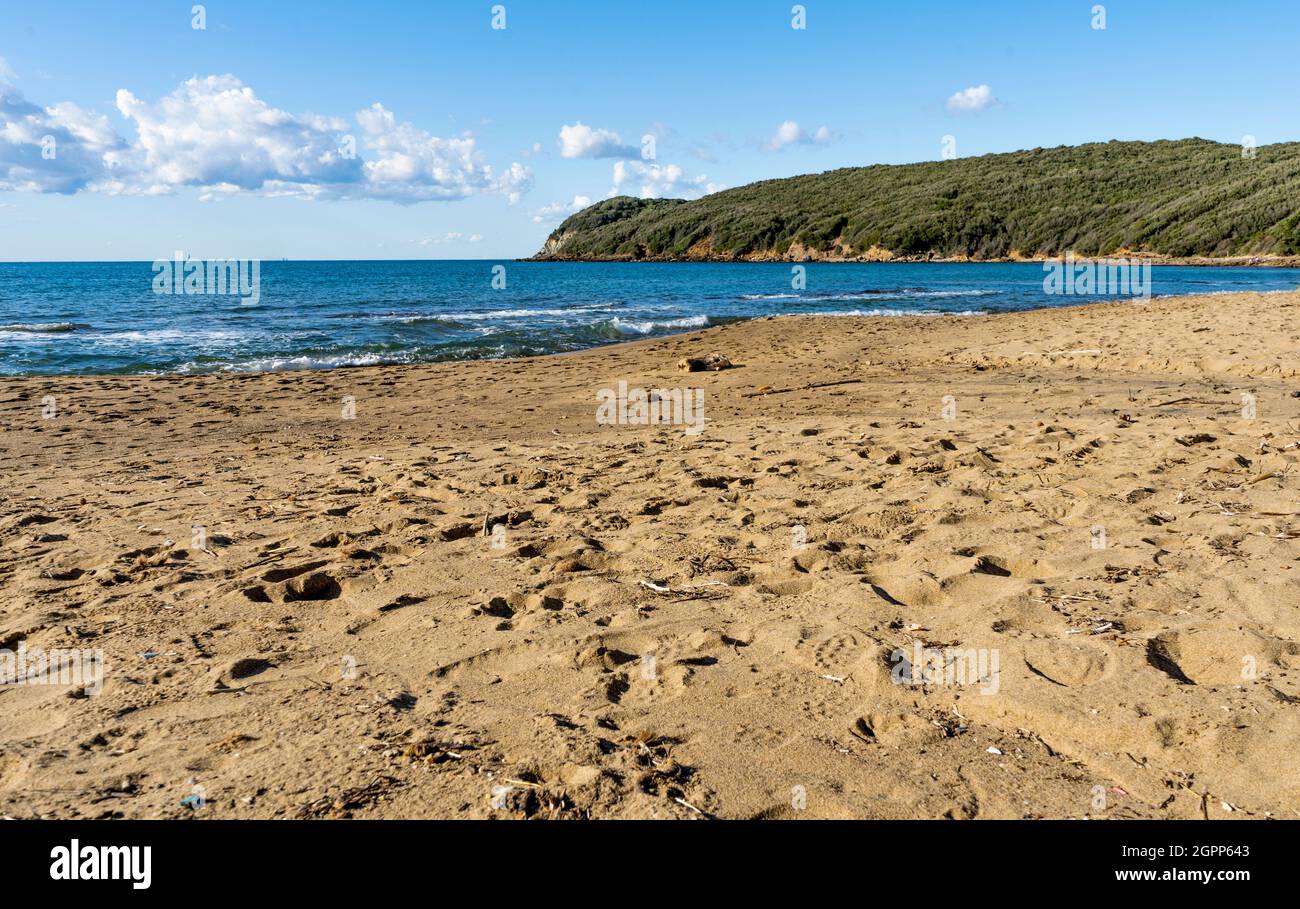 La spiaggia sabbiosa del Golfo di Baratti, nel comune di Piombino, lungo la Costa degli Etruschi, provincia di Livorno, Toscana, Italia Foto Stock
