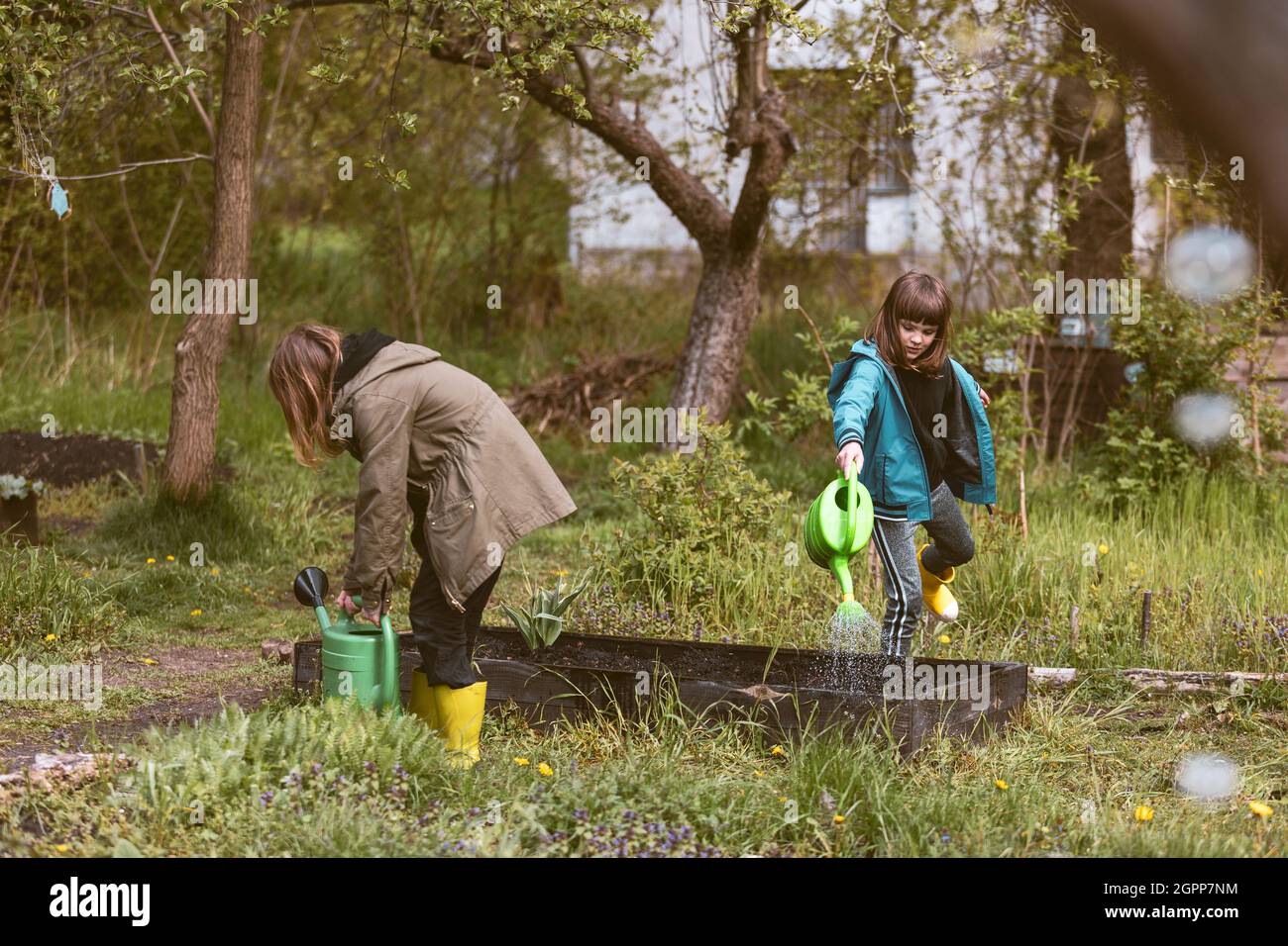 Piante annaffianti per bambini nel giardino comunale Foto Stock