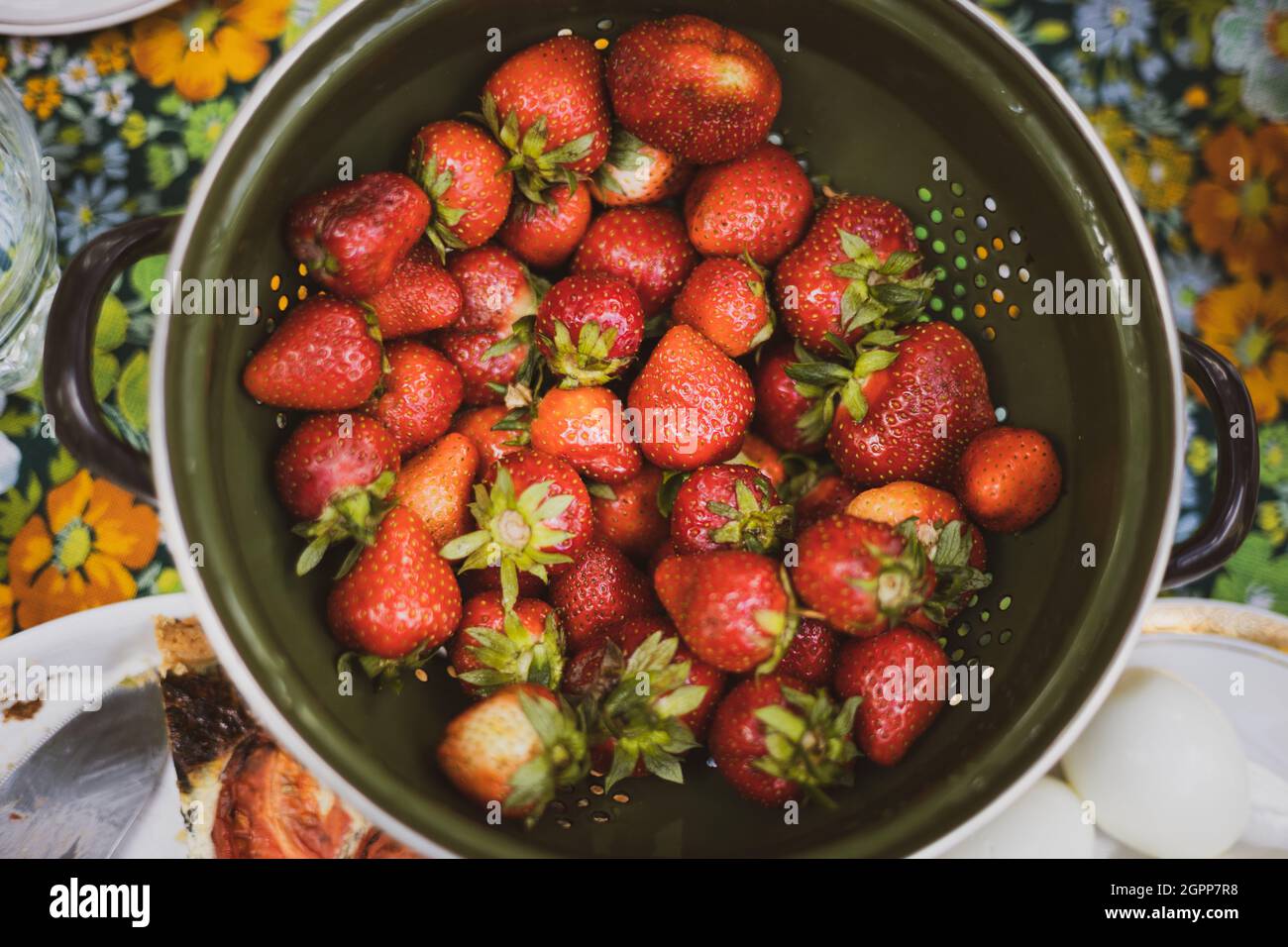 Colino pieno di fragole mature Foto Stock