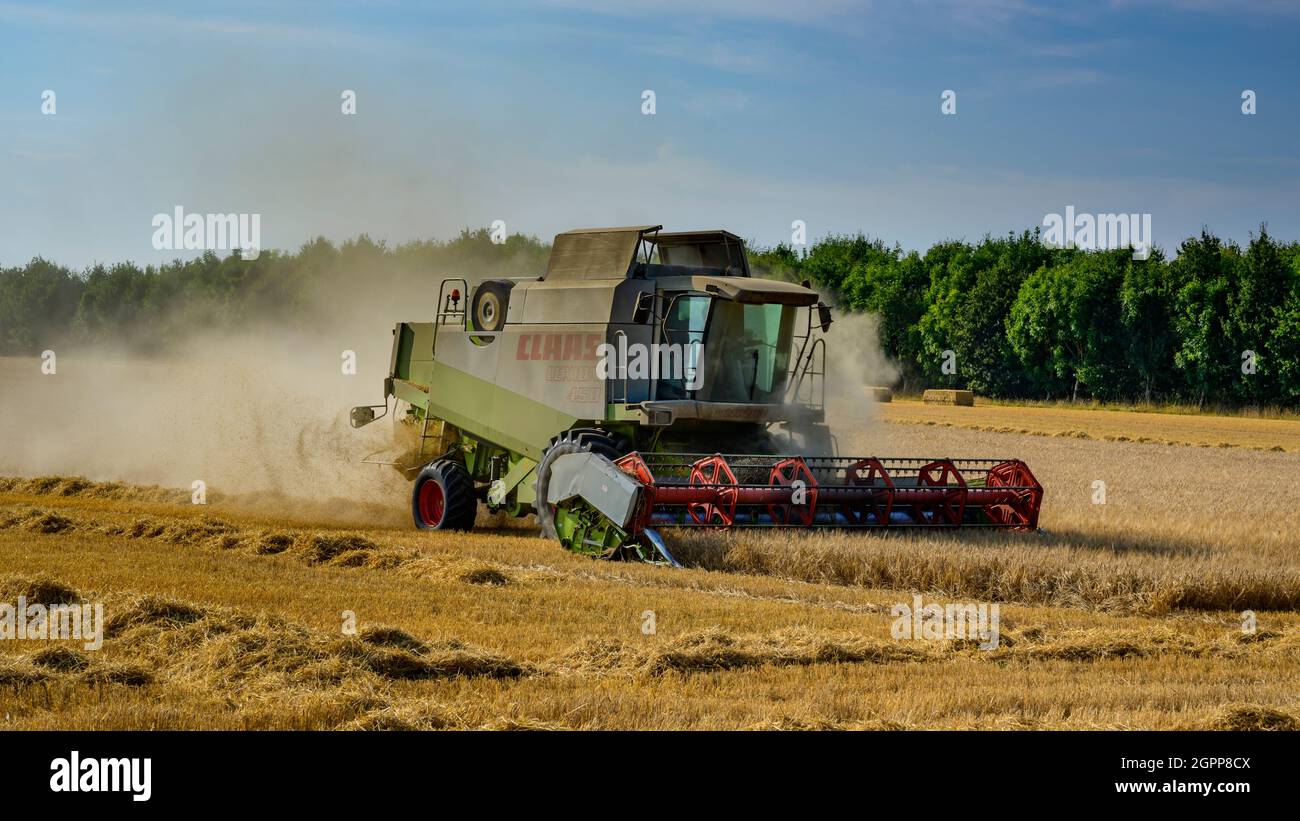 Potente macchina agricola (mietitrebbia Claas) per il taglio e la raccolta di grano in campi polverosi - North Yorkshire, Inghilterra, Regno Unito Foto Stock