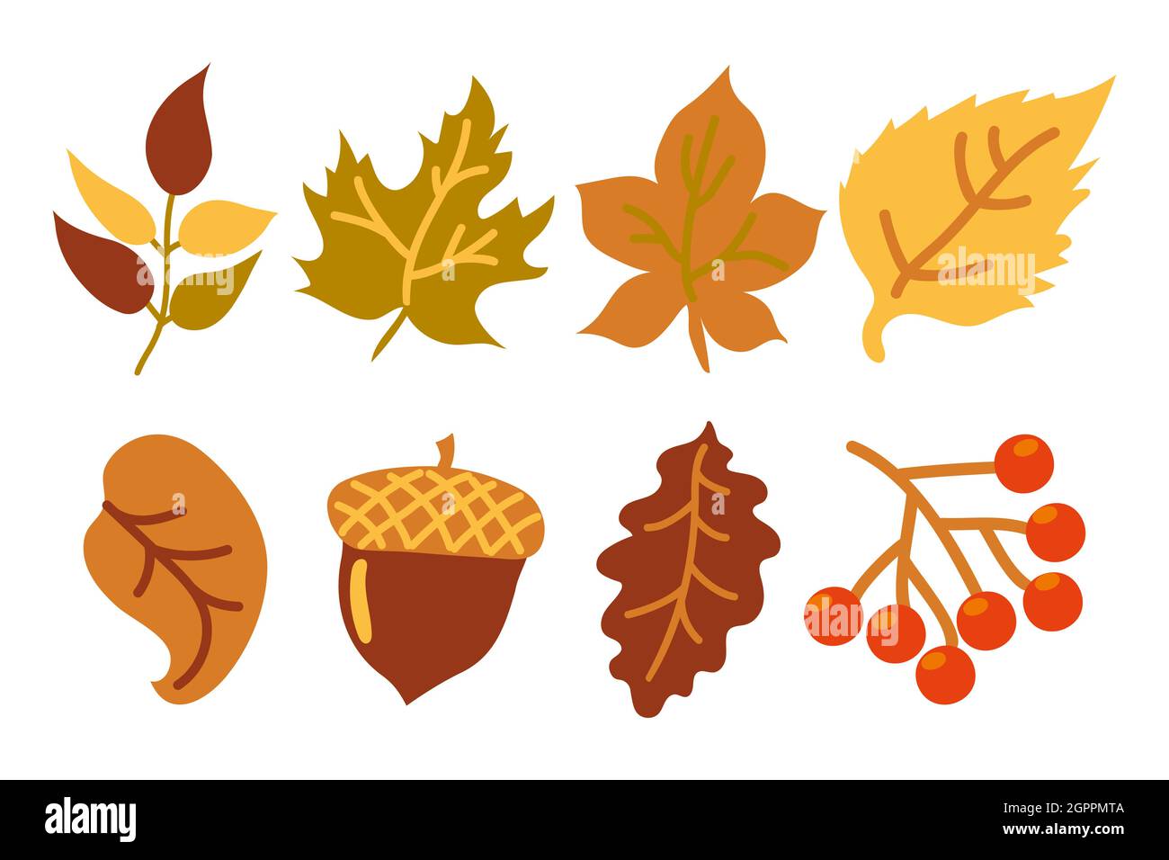 Set di foglie di colore giallo e arancio autunnali, un acorno e un ramo con bacche rosse. Foglie d'autunno. Foglie di quercia, acero, frassino, betulla, rowan e tiglio Illustrazione Vettoriale