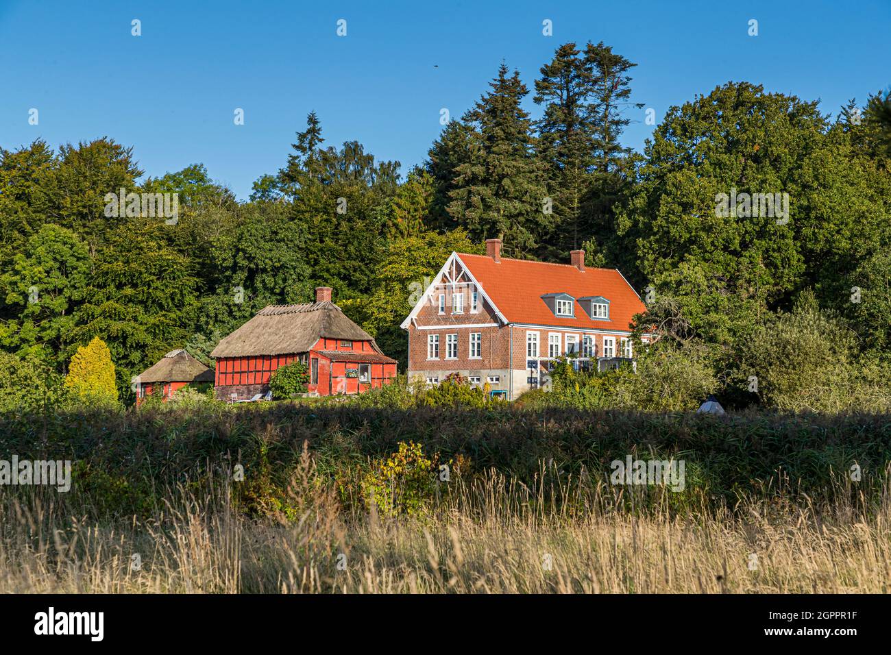 Villa Skovly (Beths Hus) a Hesselager, Danimarca, vista dalla spiaggia Foto Stock