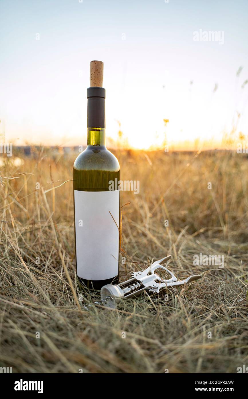 Aprire la bottiglia di vino rosso con etichetta vuota, sughero naturale e cavatappi metallici Foto Stock