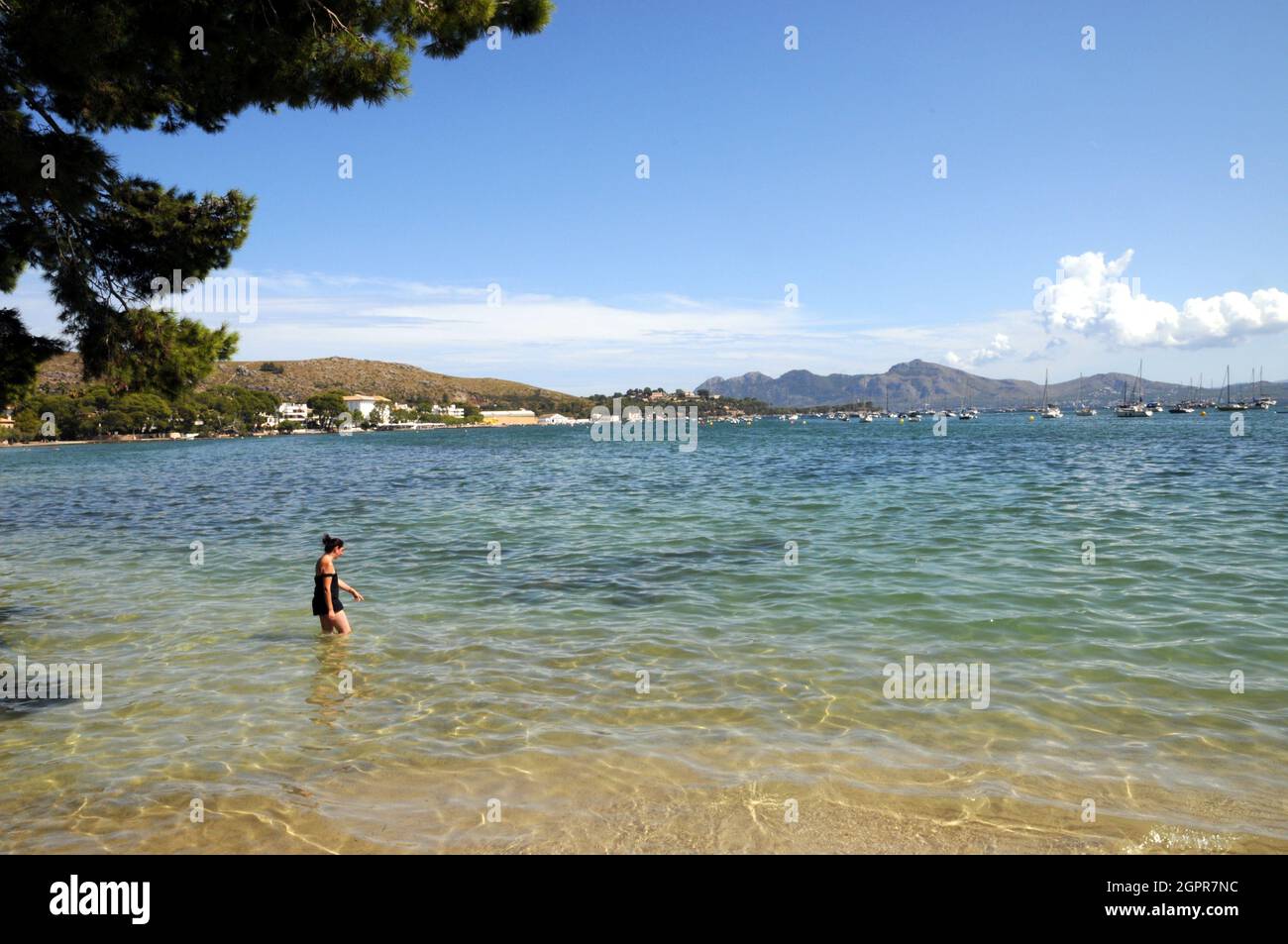 L'area della spiaggia all'estremità nord di Port de Pollenca, conosciuta come Pine Walk, è tranquilla, residenziale e un mondo lontano dalla spiaggia principale. Foto Stock