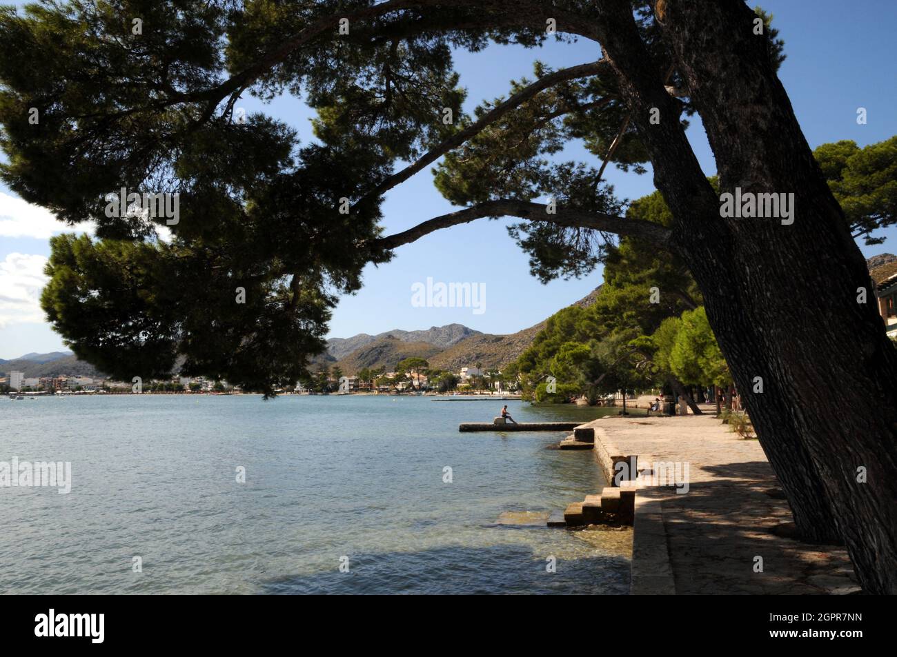 L'area della spiaggia all'estremità nord di Port de Pollenca, conosciuta come Pine Walk, è tranquilla, residenziale e un mondo lontano dalla spiaggia principale. Foto Stock