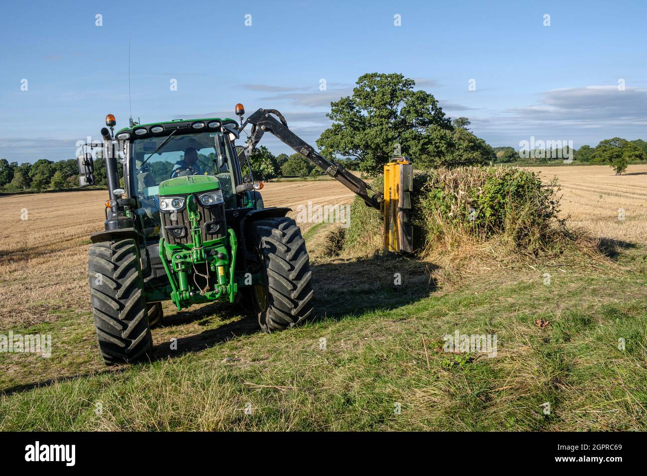 Un coltivatore che taglia una siepe di campo, vicino a tutto Stretton, Shropshire Foto Stock
