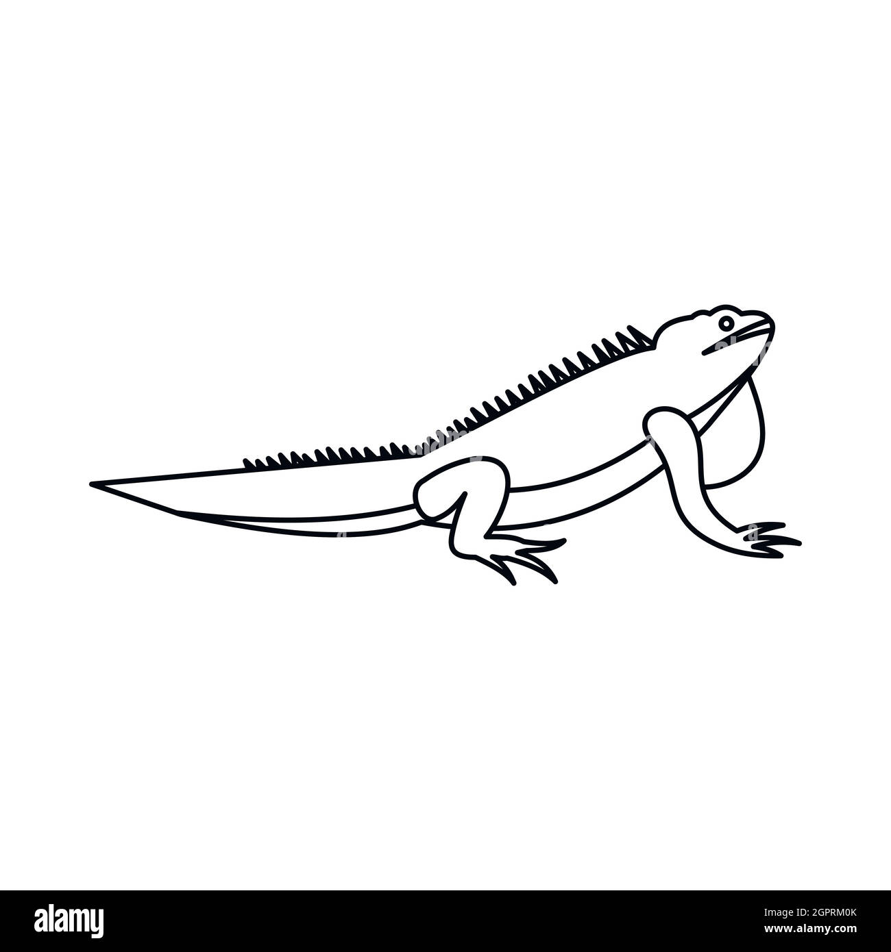 Icona di iguana, stile contorno Illustrazione Vettoriale