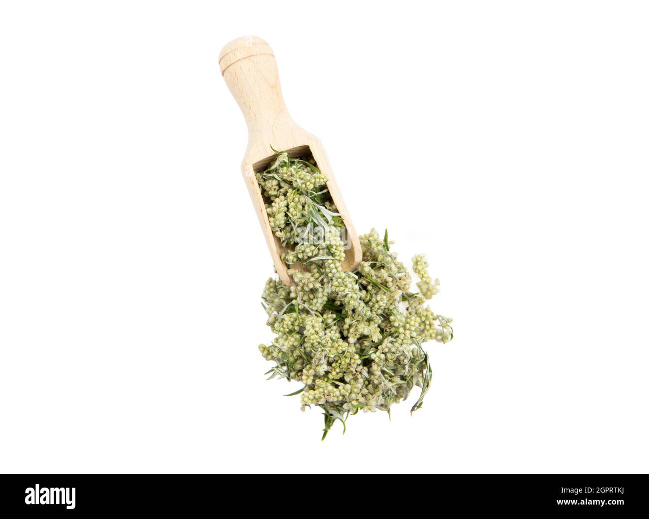 Artemisia vulgaris a secco le parti comuni della pianta del mugwort su cucchiaio di legno isolato su bianco, scatto dello studio. Concetto di medicina a base di erbe. Foto Stock