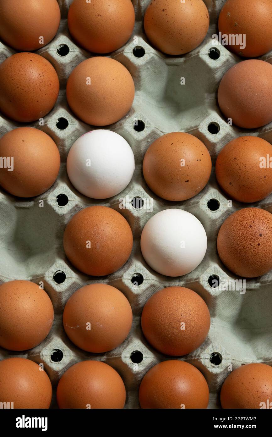 Primo piano di uova marroni e bianche ordinate in una scatola Foto stock -  Alamy