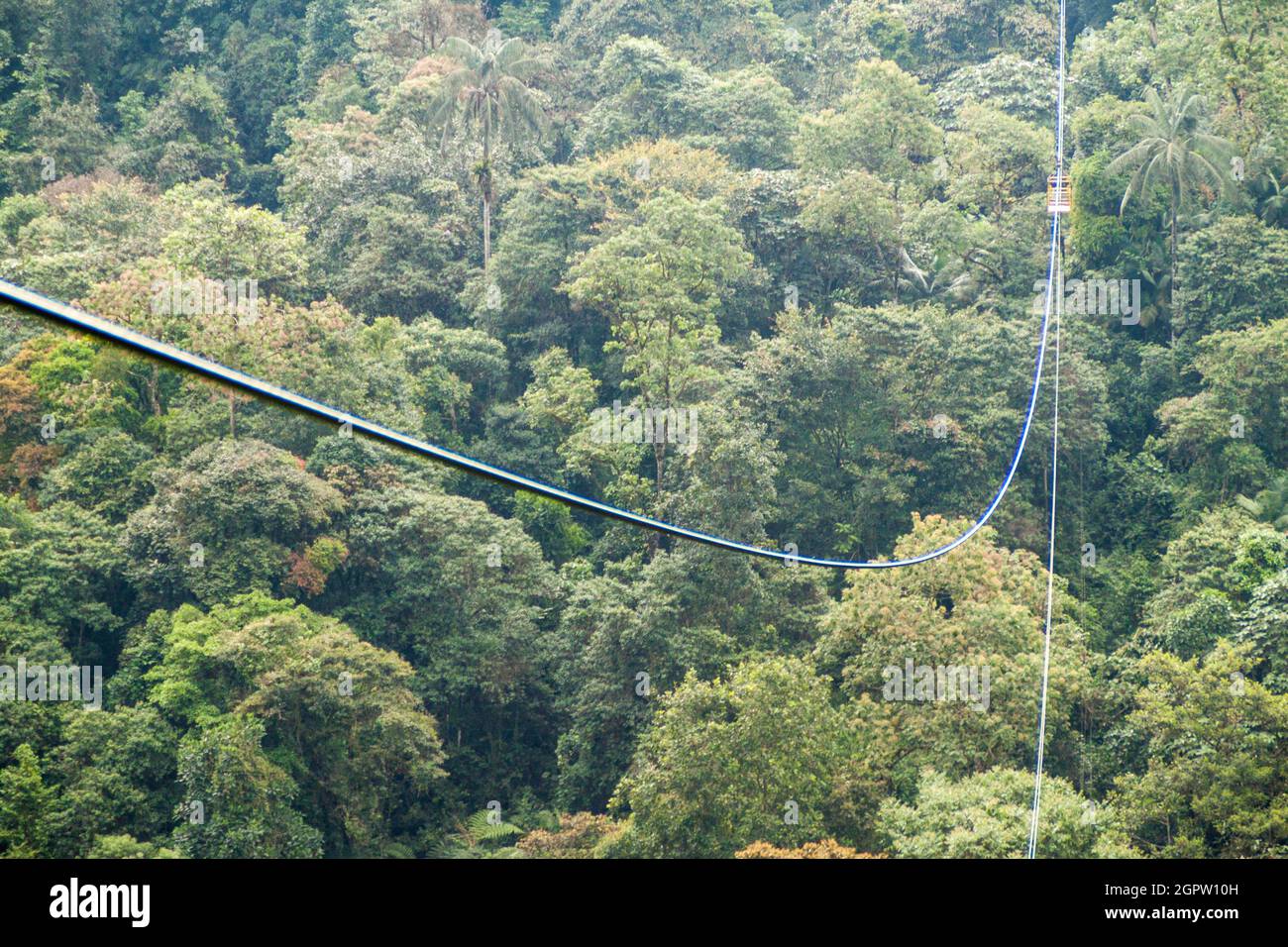 Cavi di funivia che attraversano la valle profonda, fino a 152 m sopra il terreno vicino a Mindo, Ecuador. Foto Stock