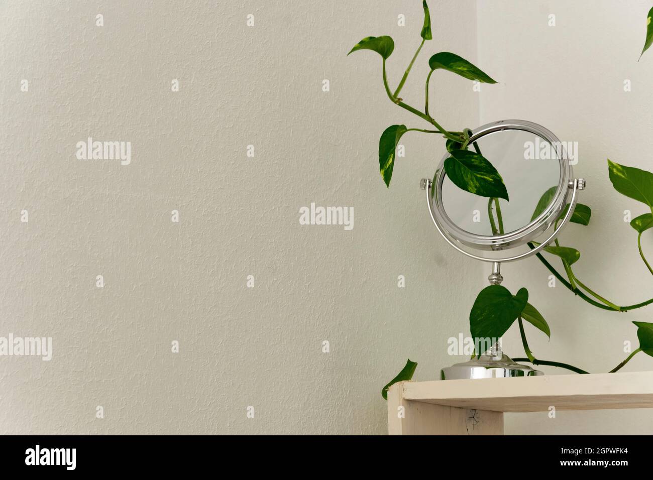 Ripiani in legno bianco con pianta in vaso verde e specchio in argento contro la parete bianca. Dettagli di design degli interni Foto Stock