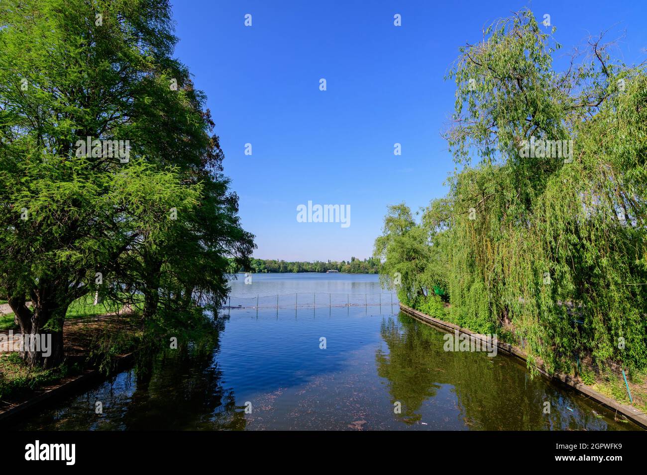Paesaggio con vecchi alberi verdi vicino al lago di Herastrau e grandi alberi verdi nel Parco del Re Michele i (ex Herastrau) a Bucarest, Romania, in un soleggiato s. Foto Stock