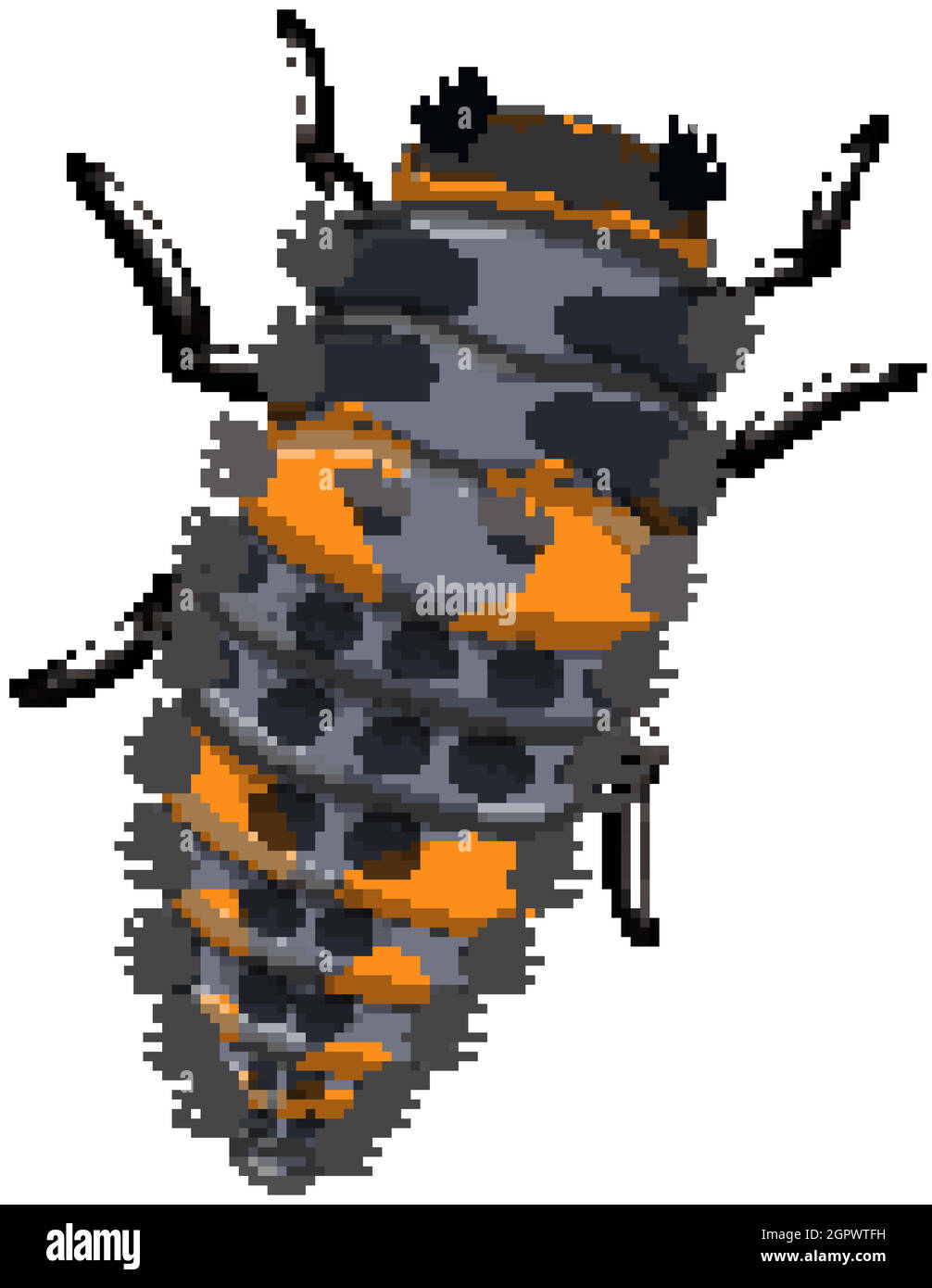 Un ladybug (palcoscenico di Larva) su sfondo bianco Illustrazione Vettoriale