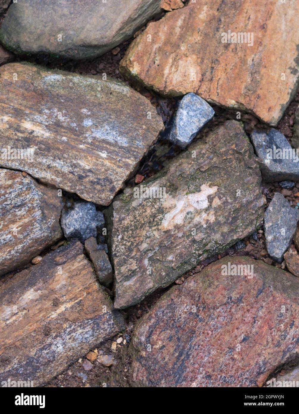 sezione di una superficie di pietra, texture naturale di sfondo, vista closeup Foto Stock