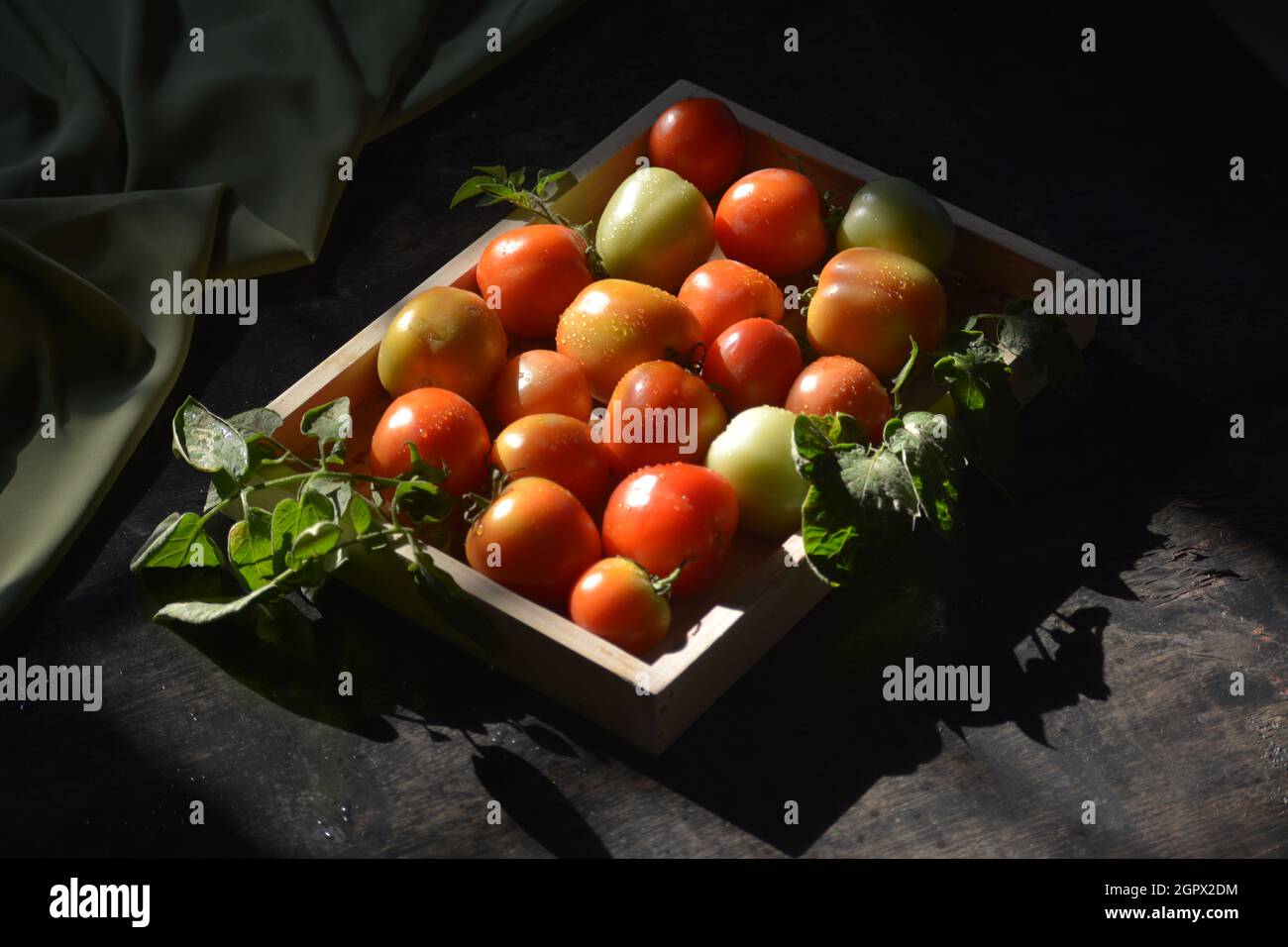 I pomodori sono pieni di antiossidante. Foto Stock