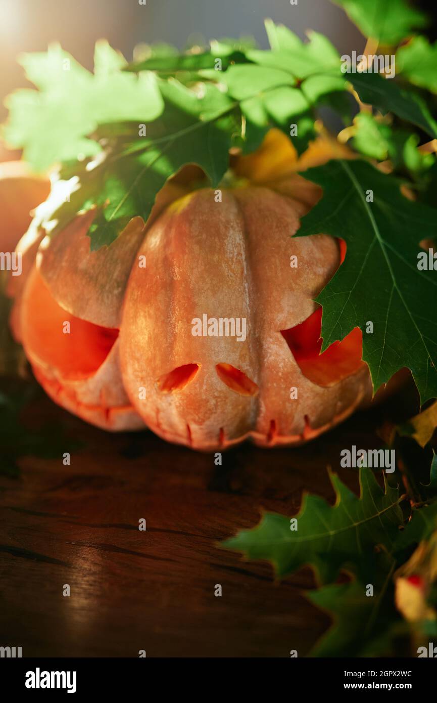 Concetto di Halloween: Zucca e foglie con luce spot come sfondo tema festa di Halloween. Faccia spaventosa di Jack o'lantern. Foto verticale di alta qualità Foto Stock