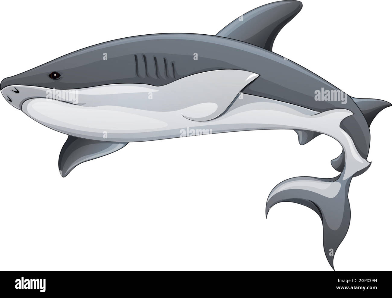 Illustrazione generica dello squalo Illustrazione Vettoriale