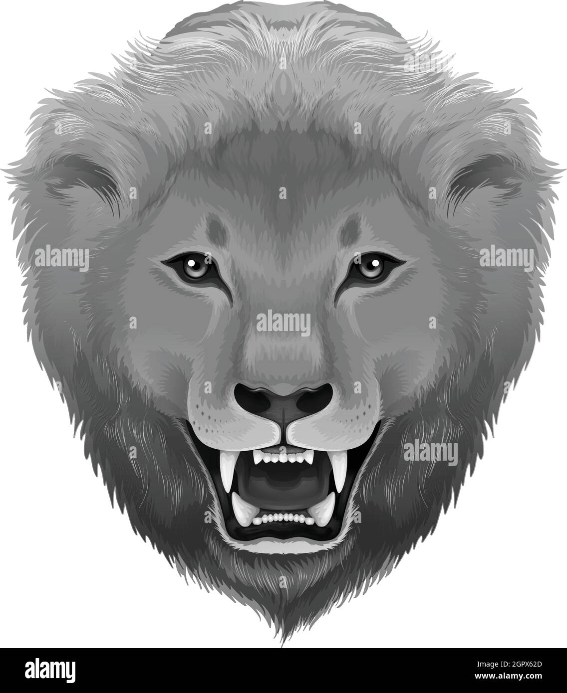 Un leone grigio Illustrazione Vettoriale