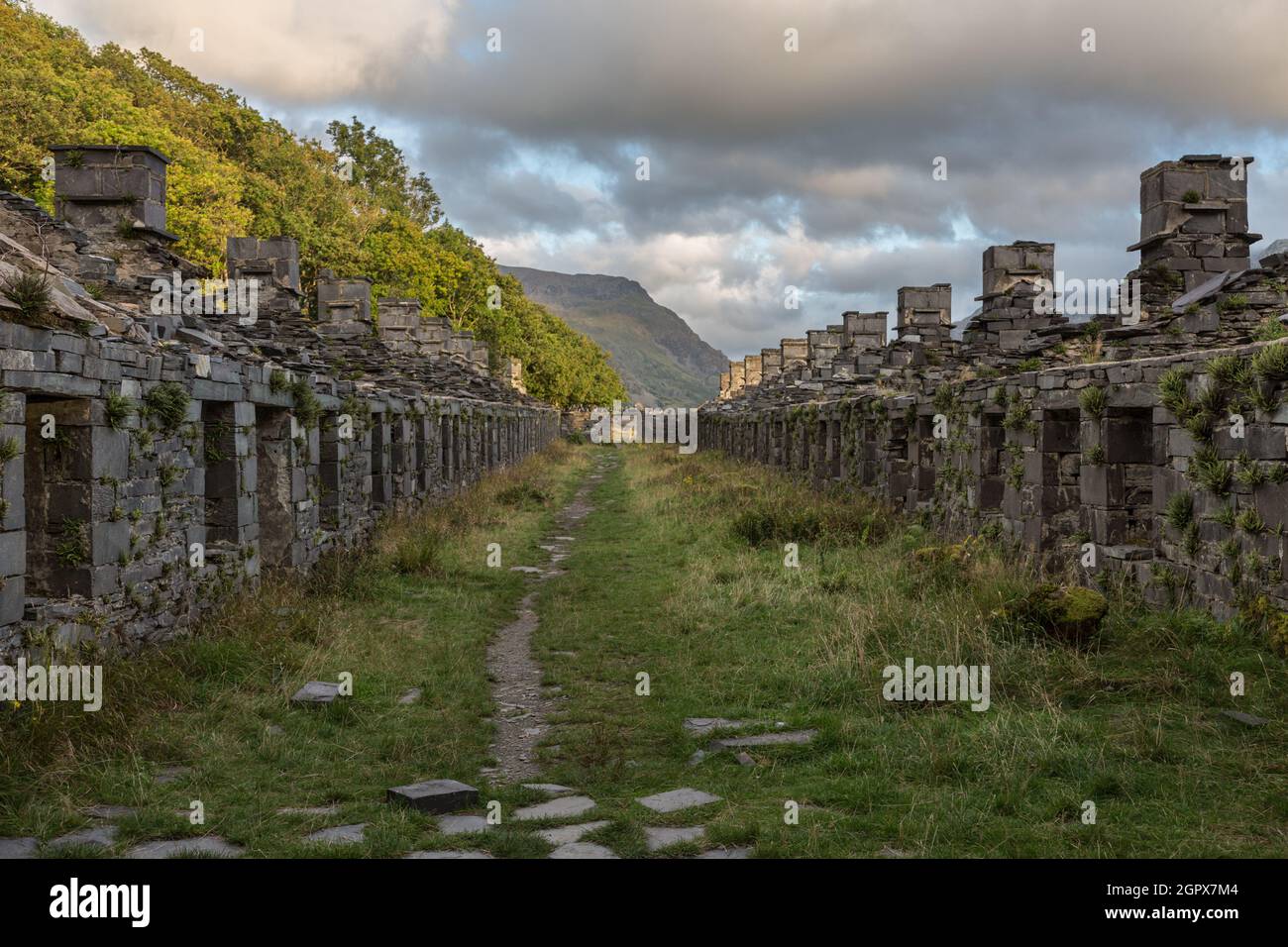 Old Miners' Cottages, Cava Dinorwic Foto Stock