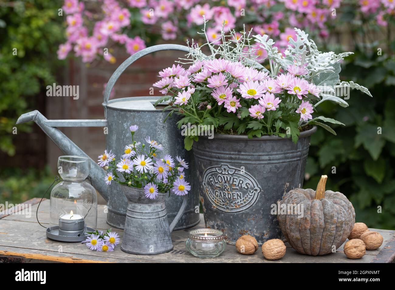 decorazione vintage giardino con fiori autunnali e zucca Foto Stock