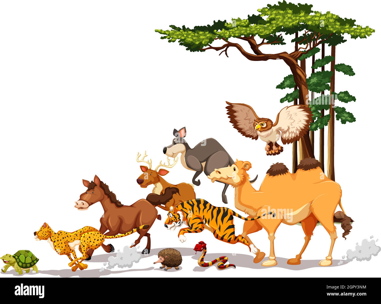 La fauna selvatica Illustrazione Vettoriale