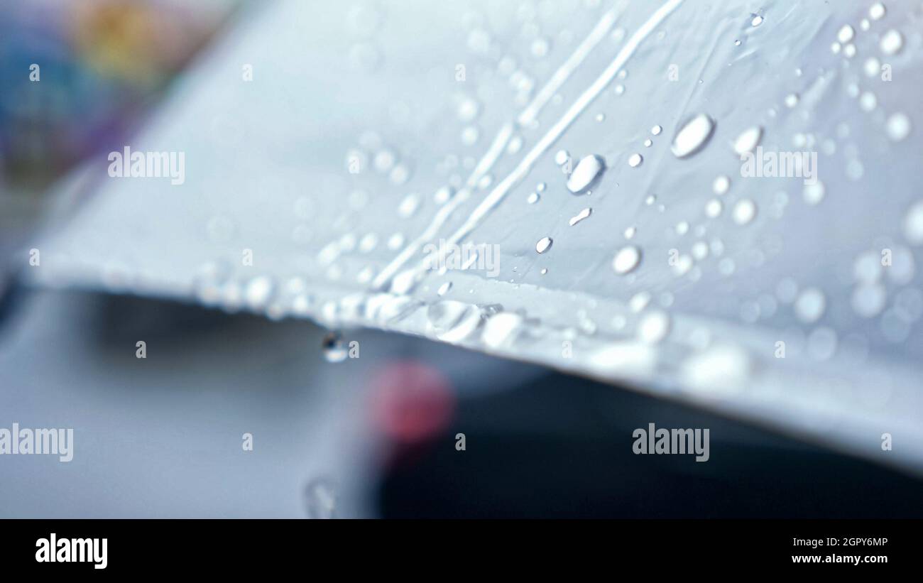 primo piano delle gocce di pioggia che scendono da un ombrello trasparente Foto Stock
