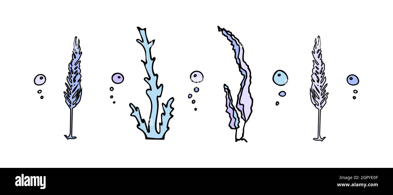 Set di alghe in stile doodle con bolle d'aria. Elementi di progettazione. Illustrazione Vettoriale