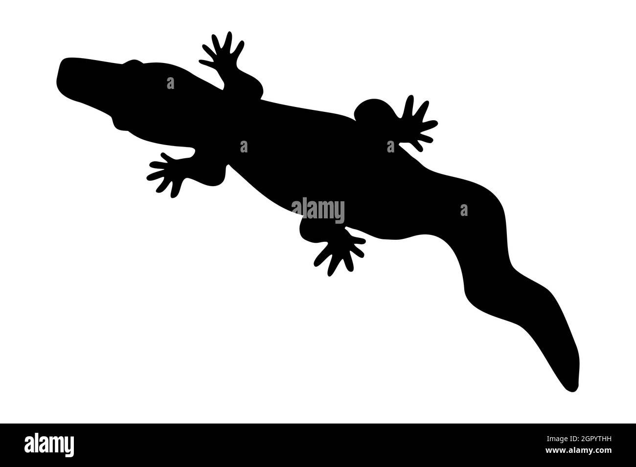 Silhouette nera di coccodrillo isolato su sfondo bianco. Simbolo o simbolo a coccodrillo. Semplice rettile piatto icona.Wild Animal Outline.illustrazione vettoriale Illustrazione Vettoriale