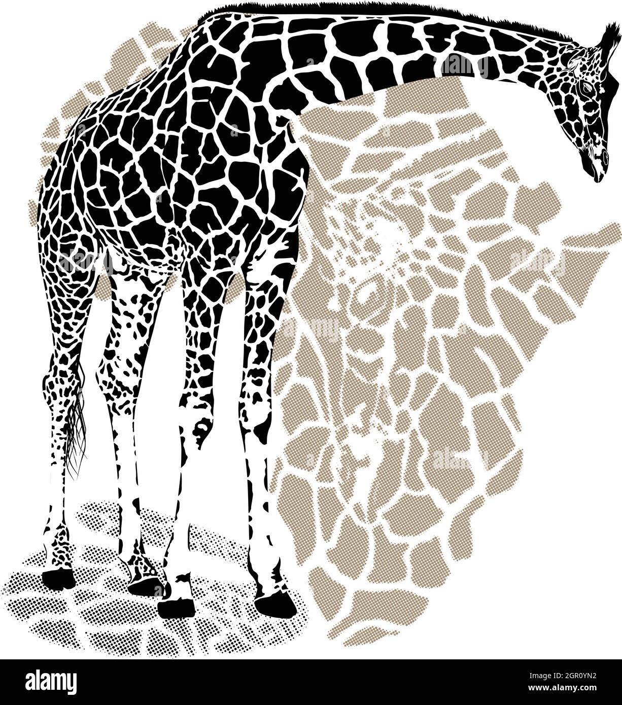 Sfondo con motivo giraffa Illustrazione Vettoriale