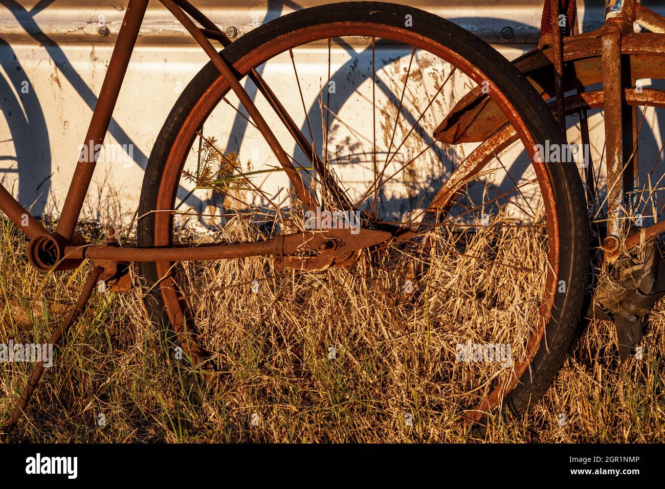 Arrugginite biciclette d'epoca nel tardo pomeriggio sole gettano ombre dorate contro una parete metallica. Foto Stock