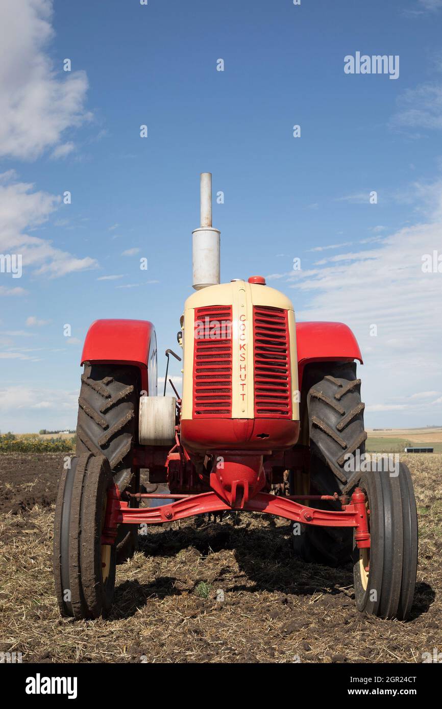 Cockshutt Model 40 Deluxe trattore d'epoca, un prodotto fabbricato dal 1949 al 1958, in un campo agricolo Foto Stock