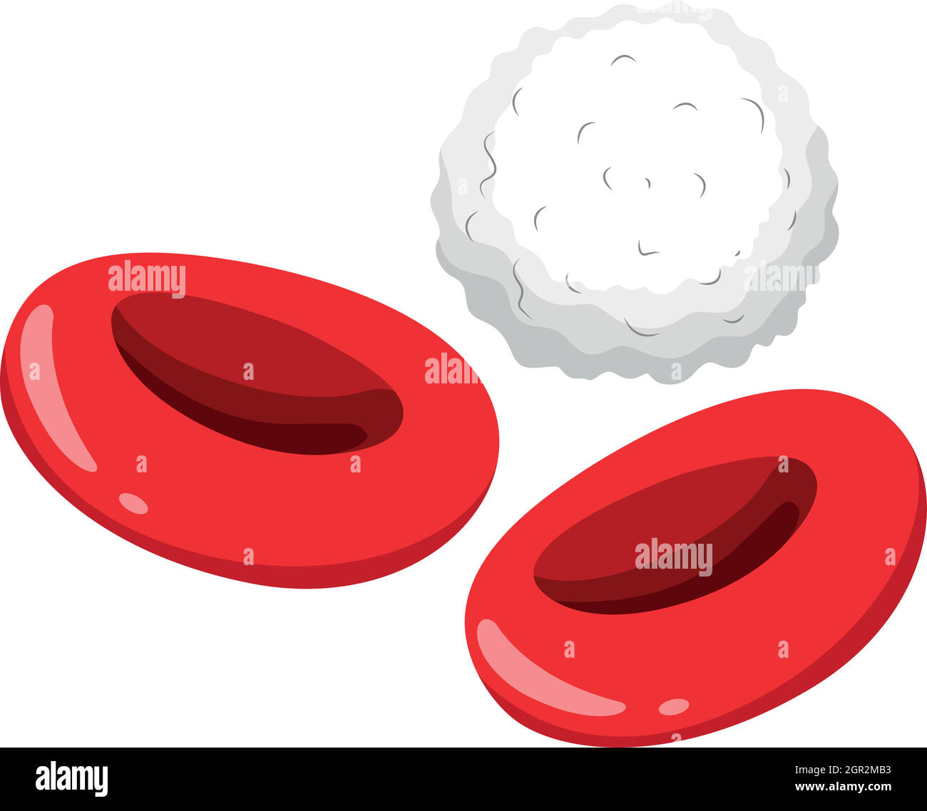 Globuli rossi e bianchi Illustrazione Vettoriale