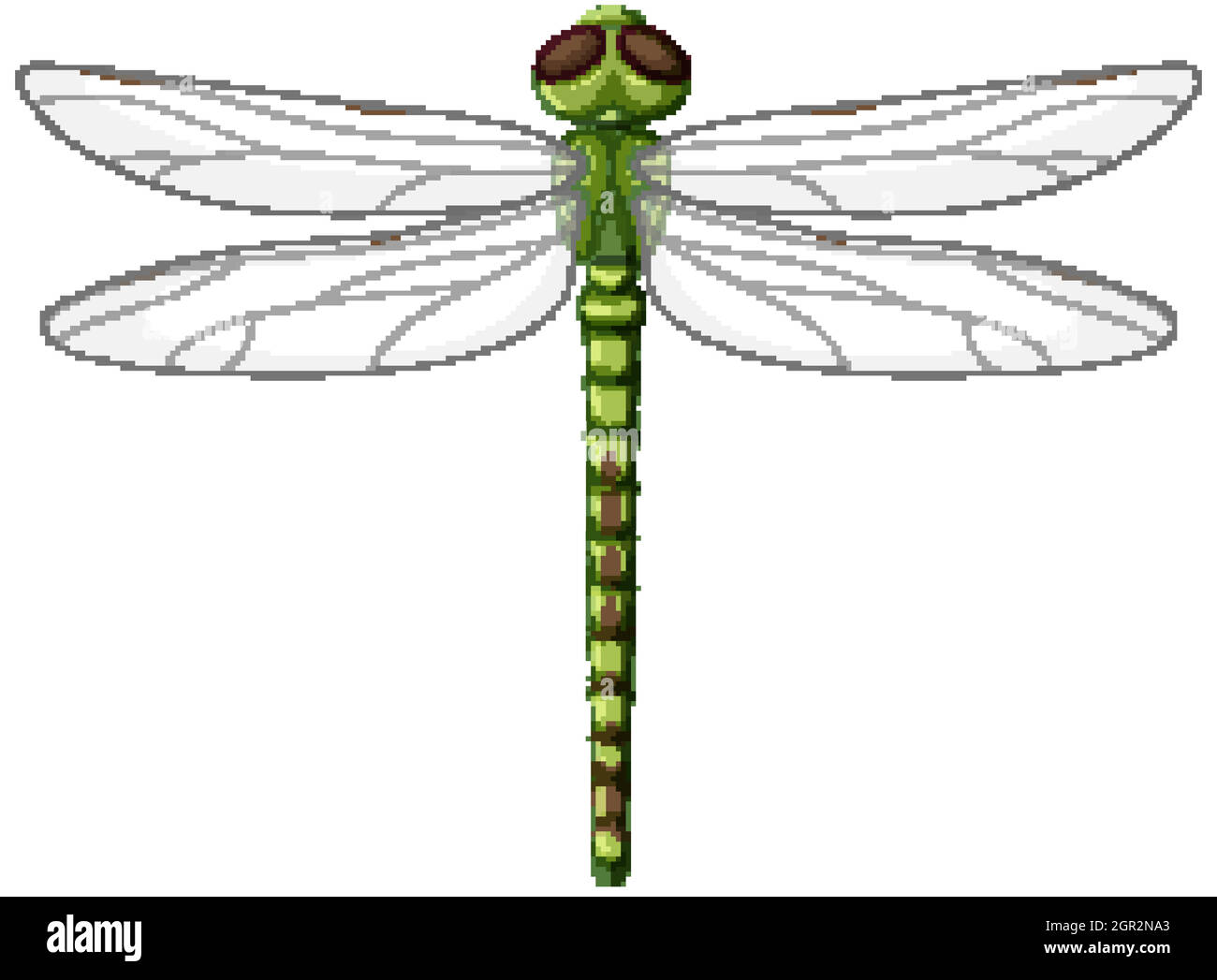 Una libellula verde su sfondo bianco Illustrazione Vettoriale