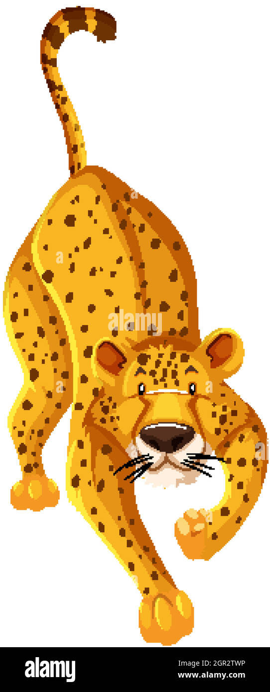 Personaggio cartoon isolato di ghepardo Illustrazione Vettoriale